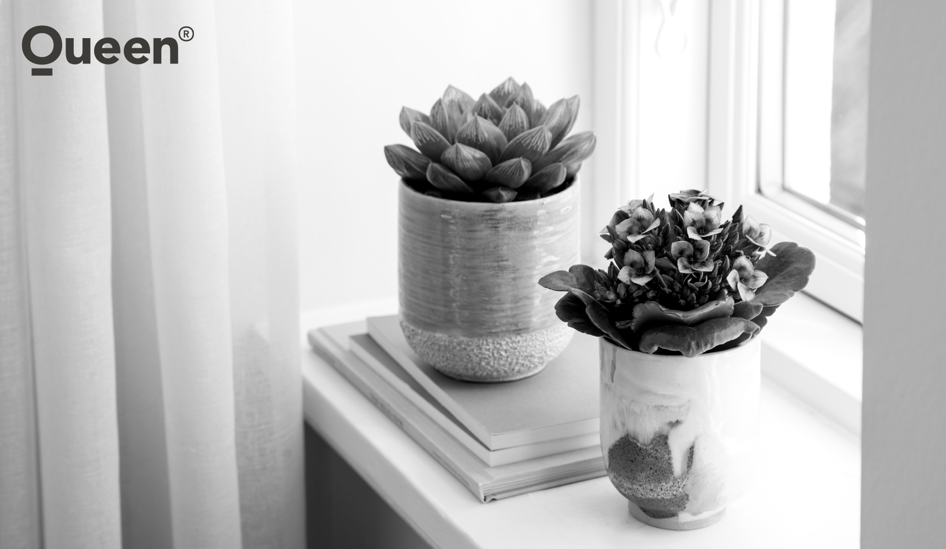 Brændende kærlighed til blomster kræver vid beskyttelse